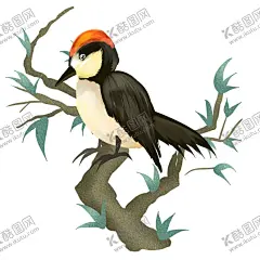 啄木鸟插画 【酷图网】卡通,卡通啄木鸟,手绘啄木鸟,啄木鸟插画,啄木鸟形象,矢量啄木鸟,啄木鸟素材,啄木鸟元素,卡通插画小鸟,卡通小鸟插画,卡通手绘小鸟,动漫,图案,漫画,手绘,插画,吉祥物,动物,卡通吉祥物,卡通动物,印花,卡通印花,印花图案,小鸟,卡通小鸟f