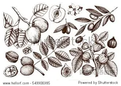 漫画,动画,动漫,人物,植物,动物,插画,手绘,画画,画笔,绘本,素描,油画,健康,欢乐,微笑,站酷海洛(HelloRF)-Shutterstock中国独家合作伙伴-正版素材在线交易平台-站酷旗下品牌。