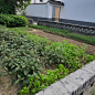 IMG20190914144410