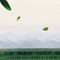 中国风茶叶茶园绿叶飘絮物主图背景 设计图片 免费下载 页面网页 平面电商 创意素材