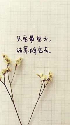 小清新心灵鸡汤个性手机壁纸图片