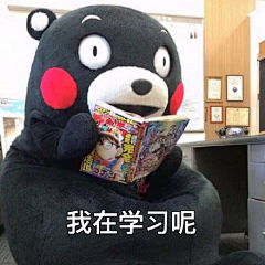 凉风子采集到霓虹·KUMAMON