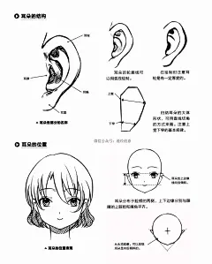 【动漫教程】丨日漫人物鼻子、嘴巴、耳朵的画法（初学者入门）