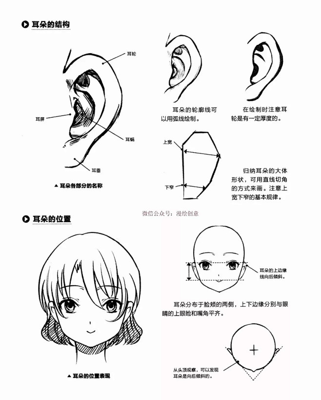 【动漫教程】丨日漫人物鼻子、嘴巴、耳朵的...