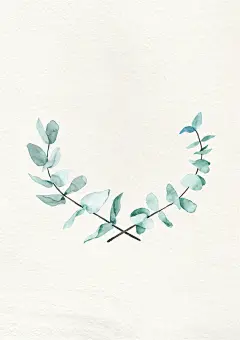 波西米亚春夏秋冬人物水果植物花卉叶子插画装饰免抠PNG图案素材 (9)
