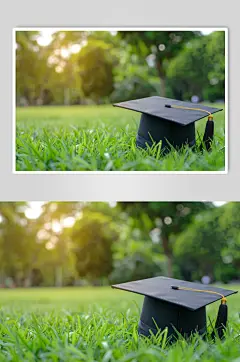 AI数字艺术毕业证图片