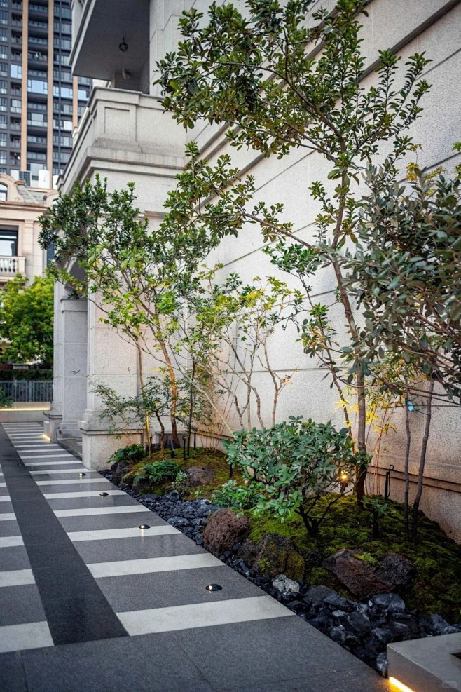 杂木风禅意庭院 _ 林间隙_14_植物景境design_来自小红书网页版