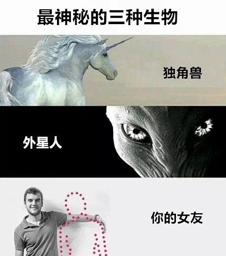 无聊图 - 蛋友贴图专版