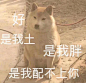 微信图片_20200531093229