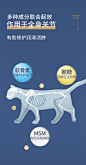 MAG关节生狗狗鲨鱼软骨素狗折耳猫软骨素猫关节宝狗腿瘸关节修护-tmall.com天猫