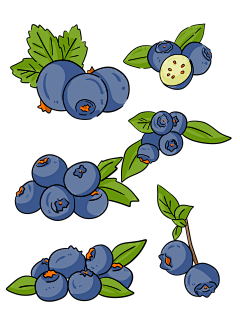 coco椰采集到插画素材