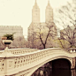 纽约市中央公园 弓桥