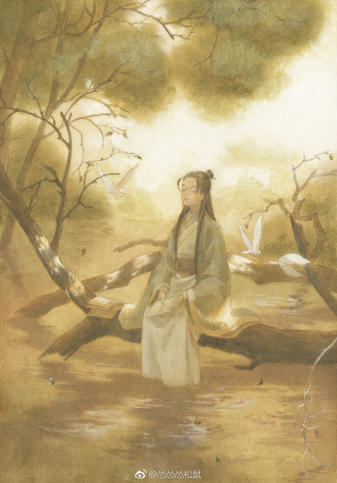 怂怂怂松鼠的照片 - 微相册