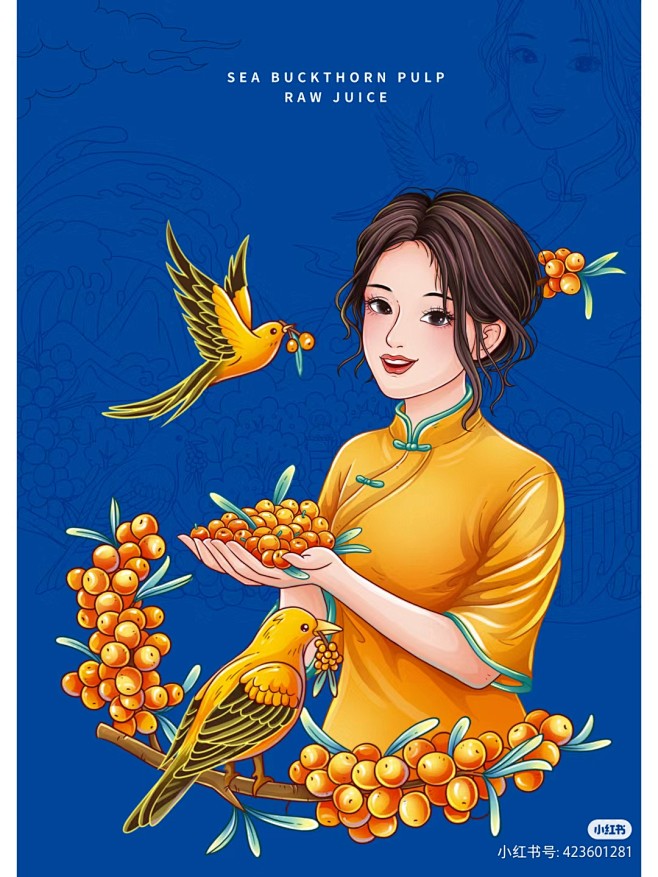 沙棘插画