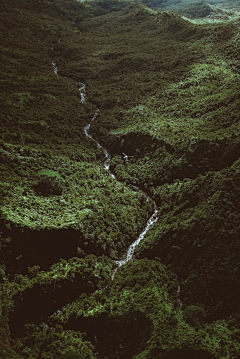 张三山采集到森林*一个人的世界