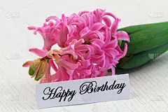 粉红色风信子生日贺卡