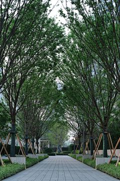 清咕吖采集到轴线