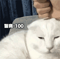 猫 智商-100
智商-100
智商-100
智商-100
智商-100
智商-100