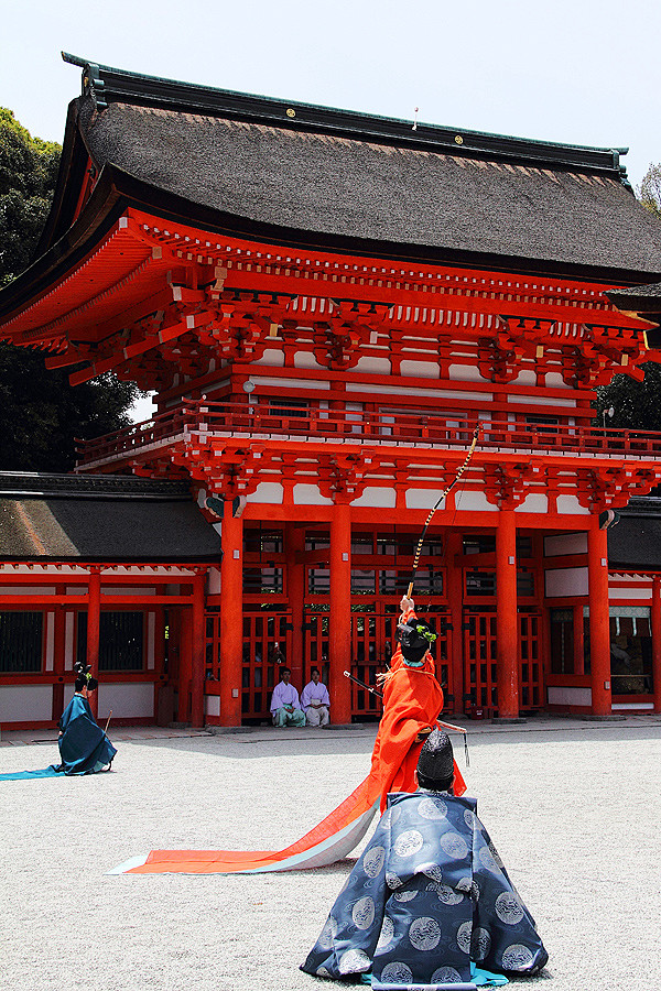 米短猫 - tofuist: 下鴨神社 ...