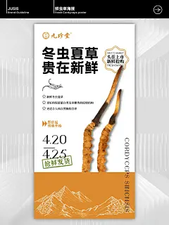 海报设计｜鲜虫草宣传海报｜冬虫夏草｜易拉宝 - 小红书