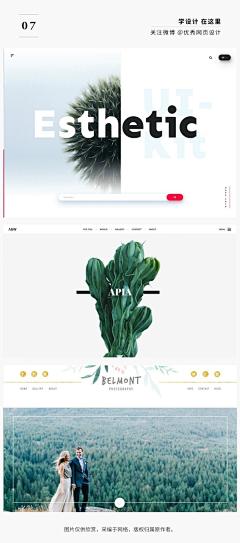 古泱采集到网页