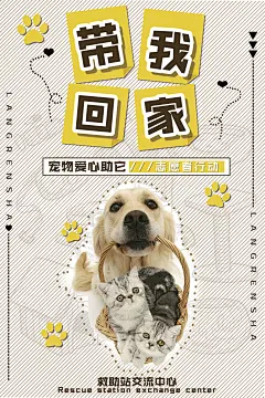 宠物店创意设计素材 猫咪狗 PSD模版宠物美容店铺 促销海报宣传单