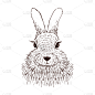 兔子,草图,动物手,可爱的,复活节,铅笔,古董,动物,绘制,复古