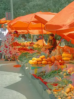 油画色彩参考街道场景摄影1