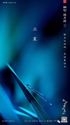 光光呵采集到节气节日贴片