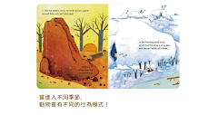 阿罢采集到幼儿机关书