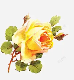 卡通油画黄色花朵插画高清素材 设计图片 免费下载 页面网页 平面电商 创意素材 png素材