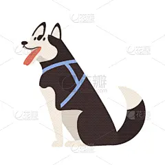 可爱的,华丽的,纯种犬,狗,自然美,动物,设备用品,装饰物,舌头,坐