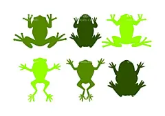 卡通手绘青蛙  - 源文件下载【酷图网】可爱青蛙,青蛙,青蛙图片,青蛙图案,青蛙背景,青蛙矢量,青蛙矢量图,青蛙卡通,青蛙手绘,卡通青蛙,手绘青蛙,矢量青蛙,