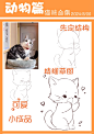 【动物篇】小猫咪的“萌态” - 小红书