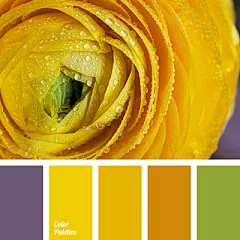 时尚配色设计方案图集丨服装产品网页室内平面海报logo图案配色