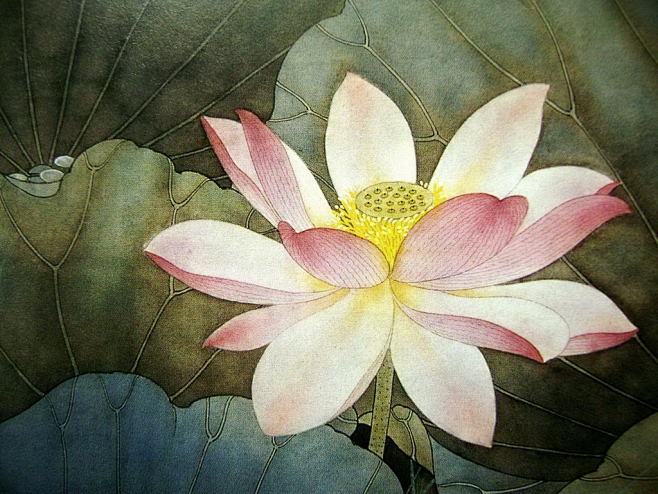 荷花名家工笔画欣赏