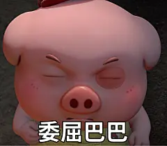 探探猫表情包：我期待的好戏，终于要上演了！06