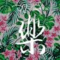 上传节目 - 网易云音乐