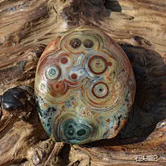 天然阿拉善石 玛瑙原石 戈壁石 俏色眼睛石原石 象形石 奇石