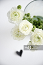 White Flowers in Flower Vase, Munich, Bavaria, Germany, Europe_创意图片