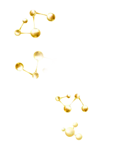 分子-DNA