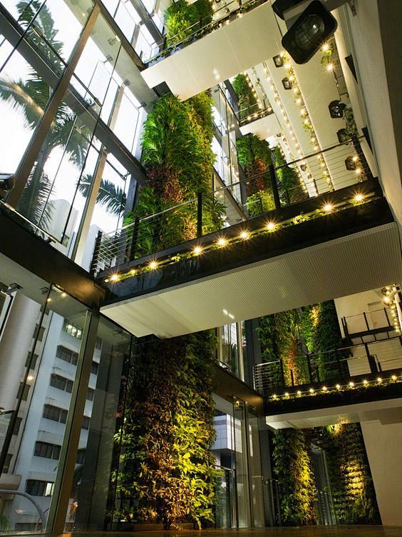 景观设计·植物墙
