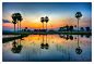 Photograph Palmyra trees with reflections by Peter Pham on 500px