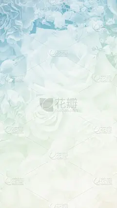非洲雏菊,自然,背景,仅一朵花,绿色,珊瑚色,垂直画幅,贺卡,古典式,夏天