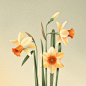 botanical floral Flowers Fungi garden geometry modern mushroom Nature plants