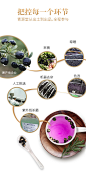 【青源堂黑枸杞 小果 250g*2瓶】青源堂 黑枸杞 青海柴达木诺木洪黑枸杞子500克 （250g x2瓶）【行情 报价 价格 评测】-京东