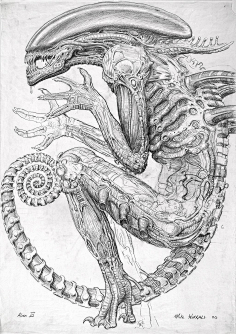 铁血战士