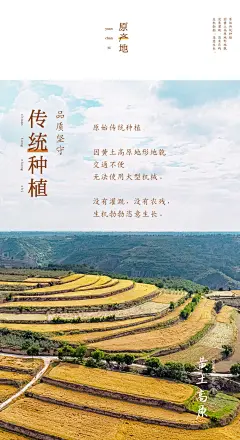 【4袋装】大家乐大黄米汤圆网红核桃黑芝麻元宵速冻芝麻点心甜品-tmall.com天猫