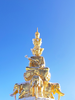 偷得鱼生半日闲采集到感觉还行的图片(个人手机拍摄)