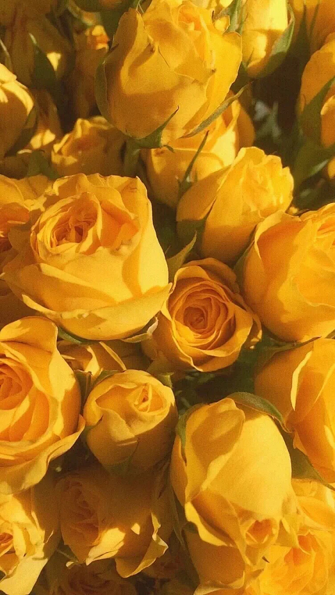yellow-花瓣网